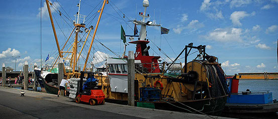 Vakantiewoning Limosa Wieringen - op de haven van Den Oever is altijd wel iets te zien
