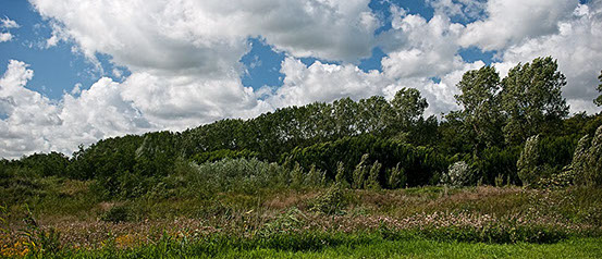 Vakantiewoning Limosa Wieringen - het prachtige veelzijdige landschap