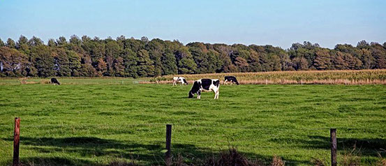 Vakantiewoning Limosa Wieringen - schitterende gelegen tussen de eilanden